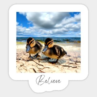 Believe - Digitalart Baby Ducks On A Sandy Beach Sticker